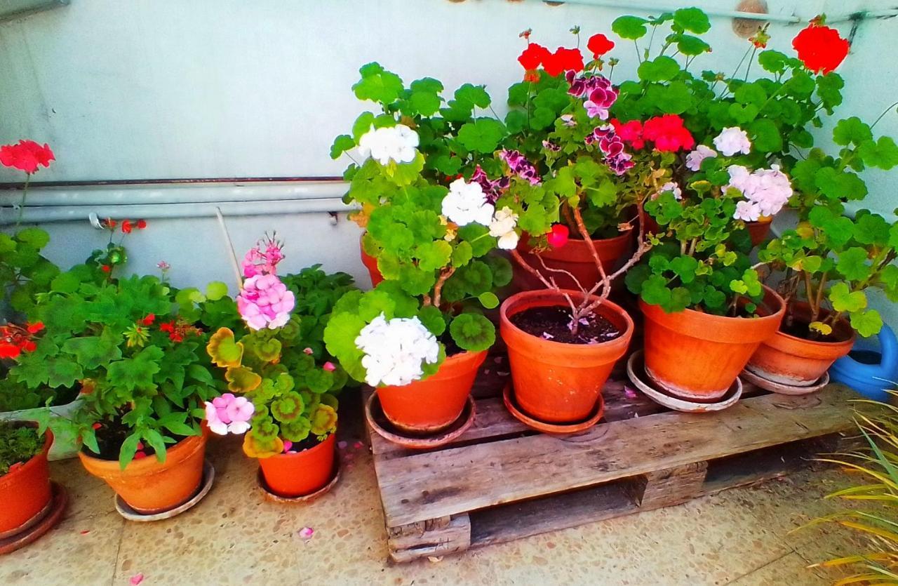 Hostal Pension Mar De Plata 루고 외부 사진